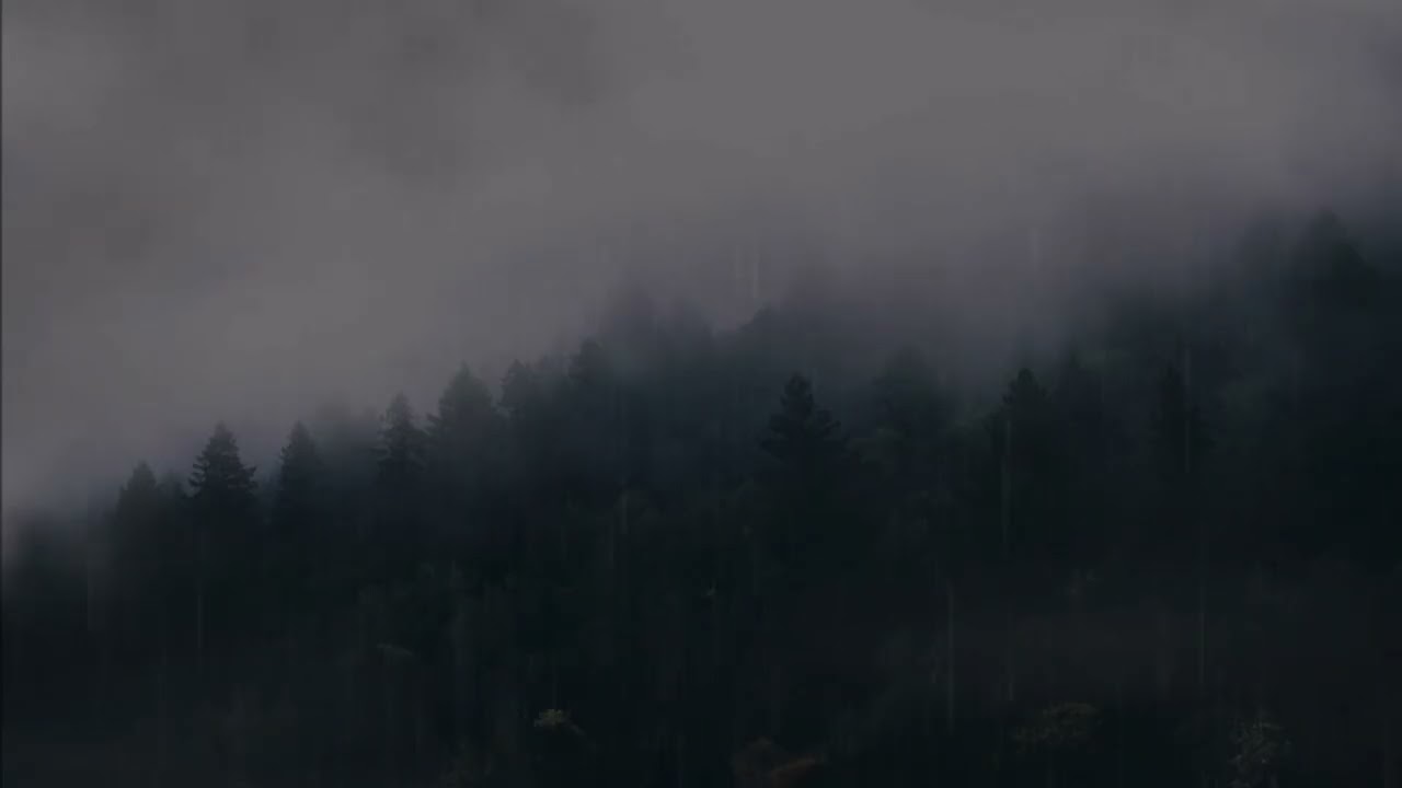 Fall Asleep In 5 MINUTES | Rain & Trees 🌲 1 Hour