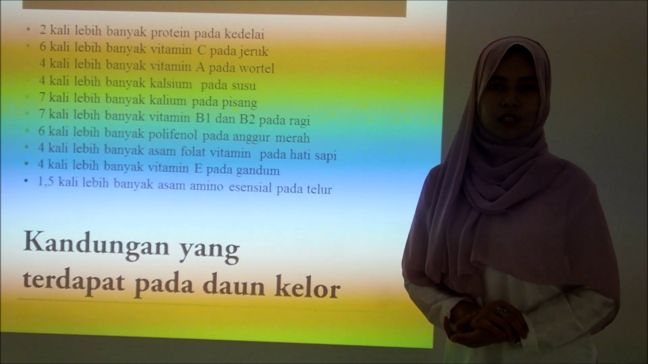 Manfaat daun kelor 