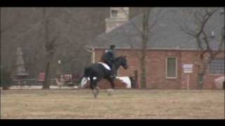 Escapade II Cross Country_0001.wmv