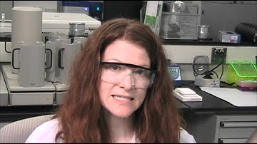 Fast SYBR Green vs. TaqMan® Fast Advanced Master Mix (qPCR step 5)