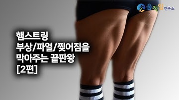 햄스트링에 무조건 가장 먼저 추천합니다 [2편]