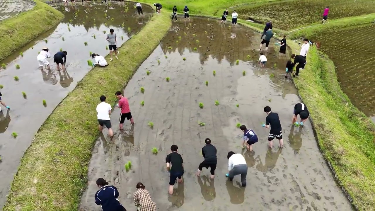 ふくこめ田植え体験in 毛原の棚田