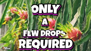 10 Profitable Crops That Need Very Little Water