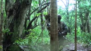 5 Pillars - Jungle Operations Training Course Wealth