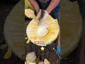 Giant Jackfruit Hack! Watch This! #JackfruitMagic #FruitPrep #fyp #Amazing #trending #viral #reels
