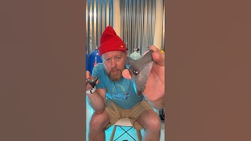 How to spot FAKE Shark Teeth when fossil hunting underwater 🤿👀 #sharkteeth #scubadiving