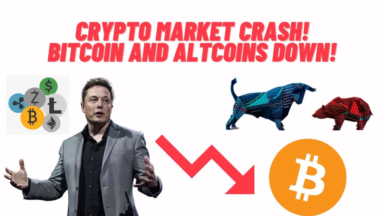 crypto market collapse today