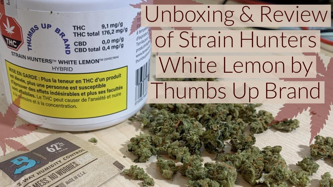 Unboxing & Review Of Strain Hunters White Lemon from Thumbs Up Brand