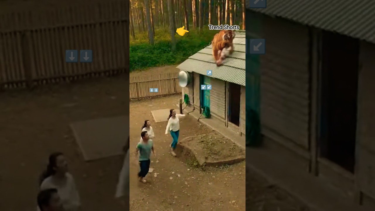 On Camera 🐅 Tiger Enters House & Attacks Woman! 😱 Sudden Panic Moment 