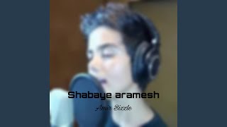 Shabaye aramesh - Amir Bizzle