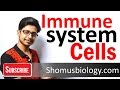 Cells of immune system