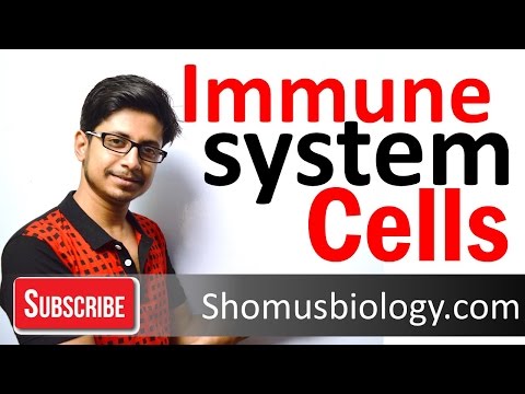 Video: Psykoimmunologi: Hvordan Styrke Immuniteten Om Våren