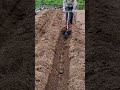 digging a long deep trench in the fertile garden soil using a manual wheeled plow tool during