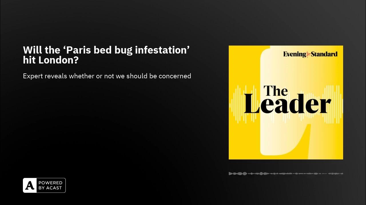 Will the ‘Paris bed bug infestation’ hit London?