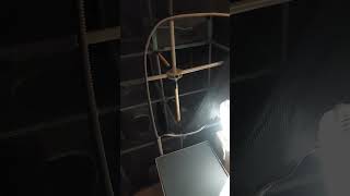 My Kitty City Megacity, Elsa's  three kittens new house! screenshot 5