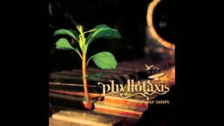 Phyllotaxis - Hoping For A Change