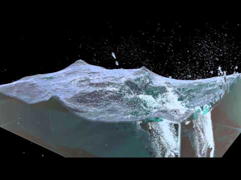 Blender: Ocean with Killer Whale test v01