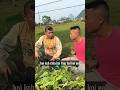rabbit h ya rat😂😂#shorts #bts #viral #tranding #cooking #funny #new #chinese