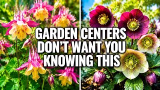 Stop Buying Annuals! Plant These 13 Perennials Once and NEVER Replant 🛑