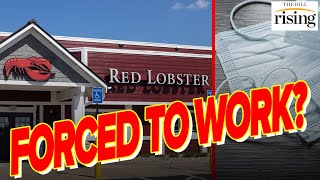 63% Of Ill Red Lobster Employees FORCED To Work While Sick. Only 12% Have Access To Paid Sick Leave