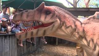 dinosaurs