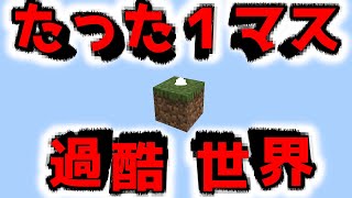 【１ブロック】のみの世界でのエンドラ討伐が過酷すぎる！！『配布マップ攻略』『マイクラ/マインクラフト/minecraft』