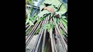 Gaun ramadhan dari mimi peri