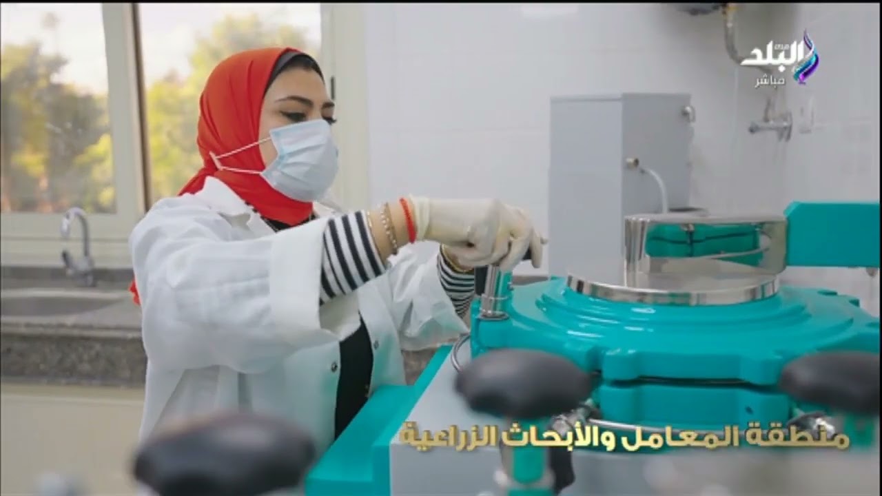 السحر والتاريخ.. حديقة أنطونيادس مقصد أهالي الإسكندرية بعد تطويرها