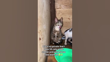 Every bit of your donation counts.please click on the links in bio to donate#fypp#fypp#viral#lucy