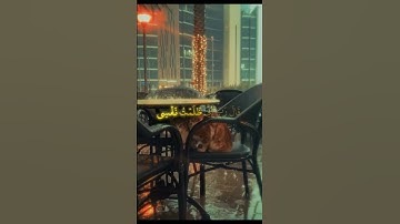 #تلاوة_خاشعة #اكسبلور #المصحف #قرآن #منشاوی #تلاوات