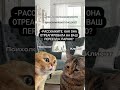 #психолог #психотерапия #котики #психологияюмор #тренд #психология #психотипы #говорящиекоты