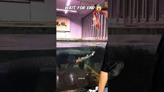 Monster Arapaima Fish Attack! 😱 Shocking End #shorts #arapaima #monsterfish #fishfeeding #trending