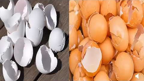 You will never throw eggshell after watching this video