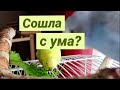 😬РАЗГОВАРИВАЮ С РЫБКОЙ😅ПОПУГАИ ТРЕБУЮТ ВНИМАНИЯ😤КОРМЛЮ ХОМЯКА ЖИВОЙ МОЛЬЮ