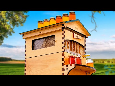 Top 5 Best Bee Hive Boxes in 2022