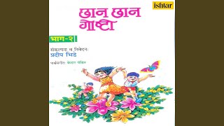 Full Chatur Pille Guide