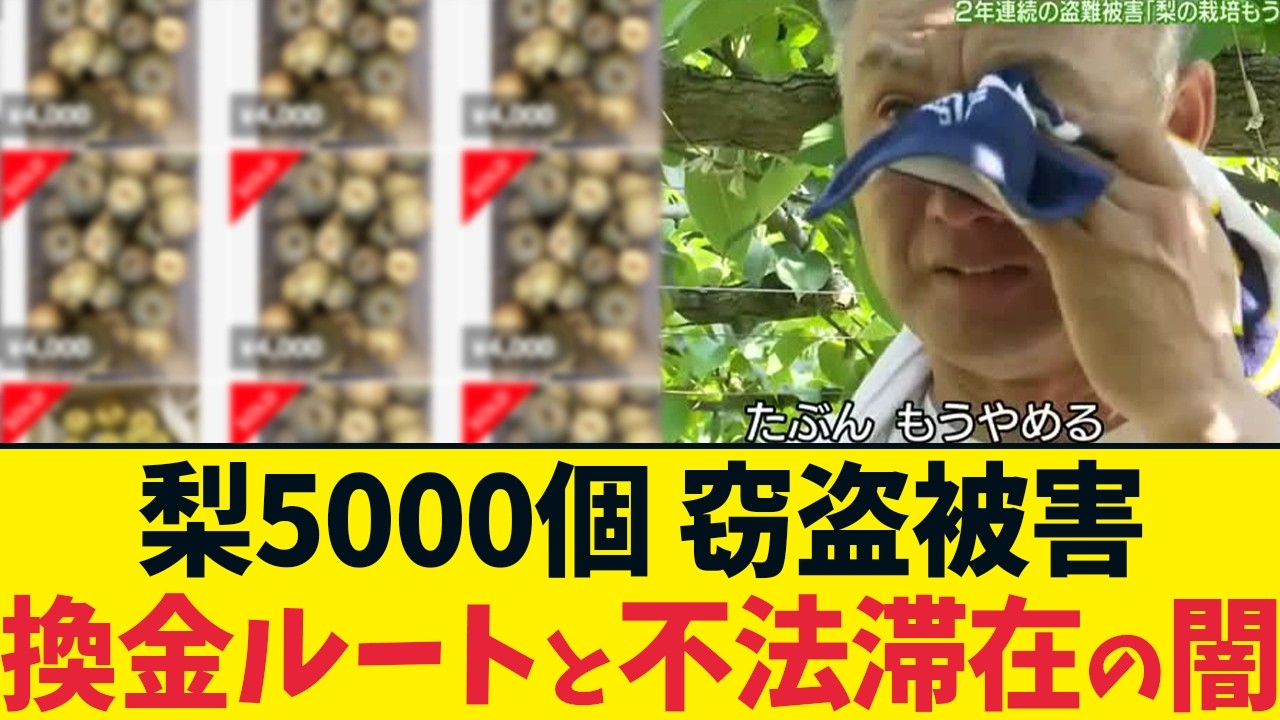 農業を潰す不法滞在と不正転売。梨大量盗難事件から見る社会の欠陥