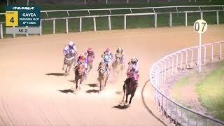 Vidéo de la course PMU PREMIO MOUSTACHE