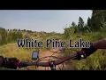 White Pine Lake by Bruce Argyle