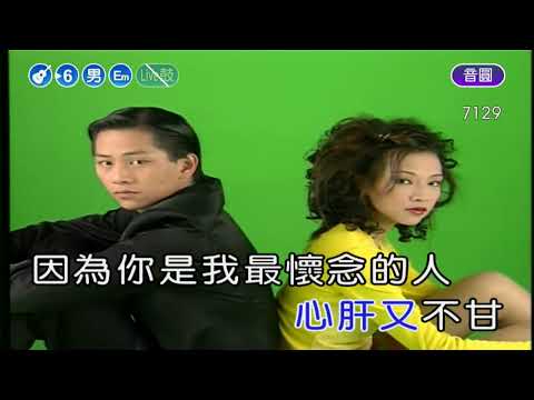 懷念的人~陳雷~男Em調~伴奏~導唱丙
