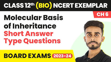 Molecular Basis of Inheritance - Short Answer Type Que | Class 12 Biology NCERT Exemplar Ch 6 | CBSE