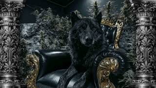 El Comandante Lobo V1 - El De La Maña Music (Video Concepto) | 2026. El Comandante Lobo V1 - El De La Maña Music (Video Concepto) | 2026.