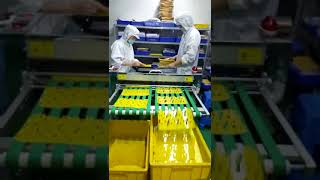 electrostatic dust removal machine