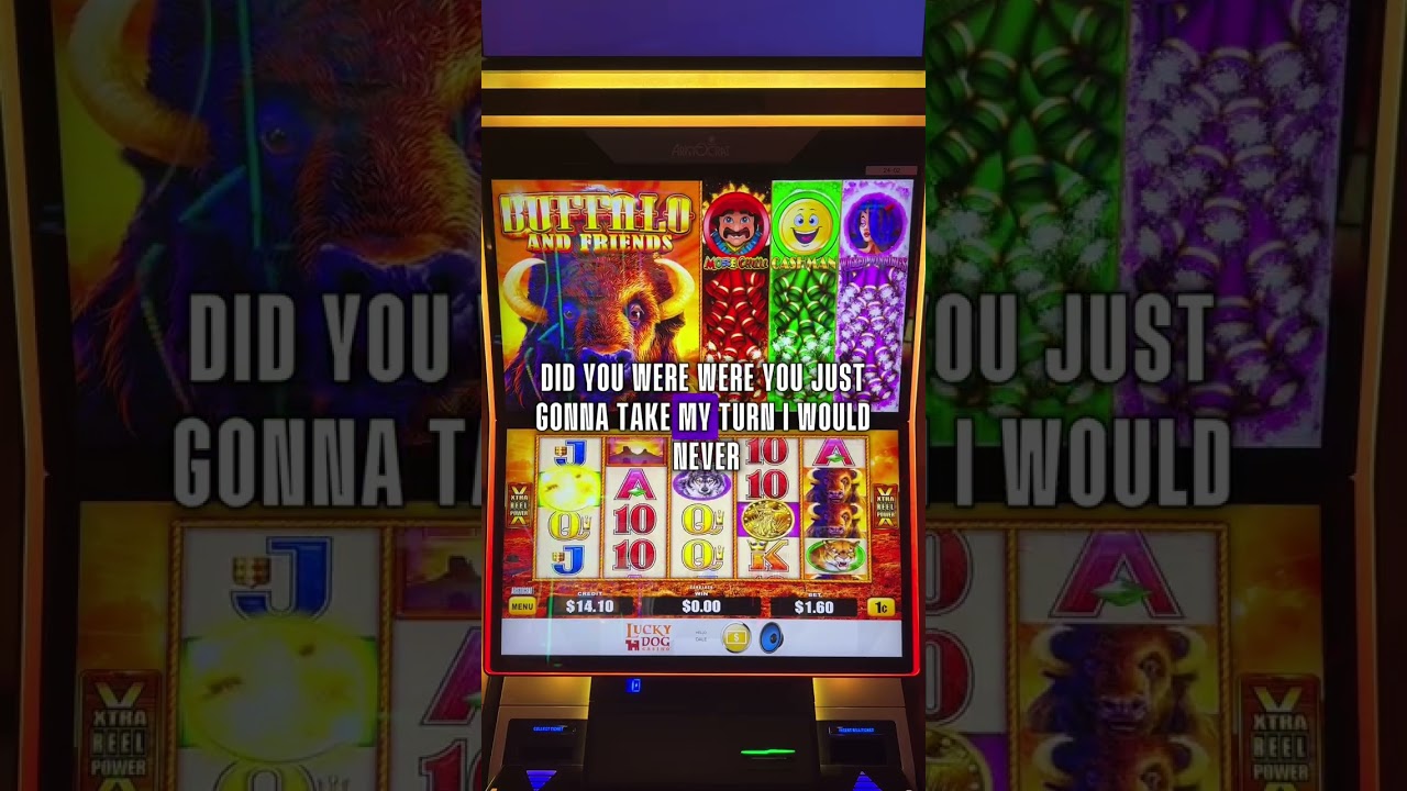 Dale & Jerry Play Buffalo and Friends!