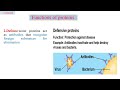 Lecture 8+9 General Biology
