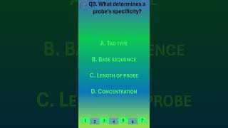 Master MB(ASCP) Exam: DNA Probe Structure Explained in 60 Seconds! 🔍
