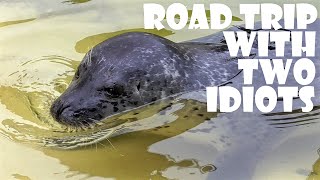 Road Trip With Two Idiots - Cornwall August 2015 (Sunday)