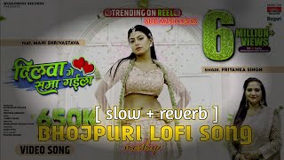 DILWA ME SAMA GAILA #Priyanka Singh #Mahi Shrivastava | दिलवा में समा गईला | #Bhojpuri #Song 2024
