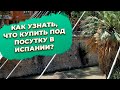 Как анализировать где сдается недвижимость посуточно в Испании?