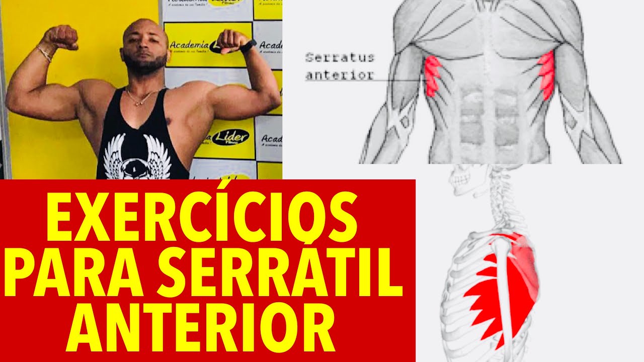 EXERCÍCIOS PARA SERRÁTIL ANTERIOR - YouTube